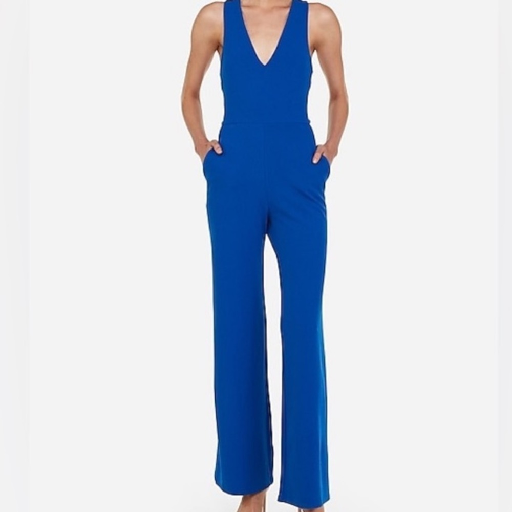 NWT Express Wide Leg Jumpsuit